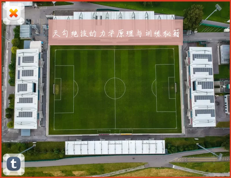 天勾绝技的力学原理与训练秘籍
