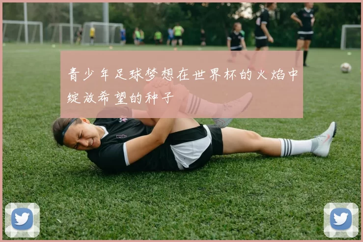青少年足球梦想在世界杯的火焰中绽放希望的种子