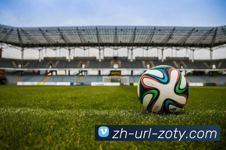 zoty中欧官网平台生态图