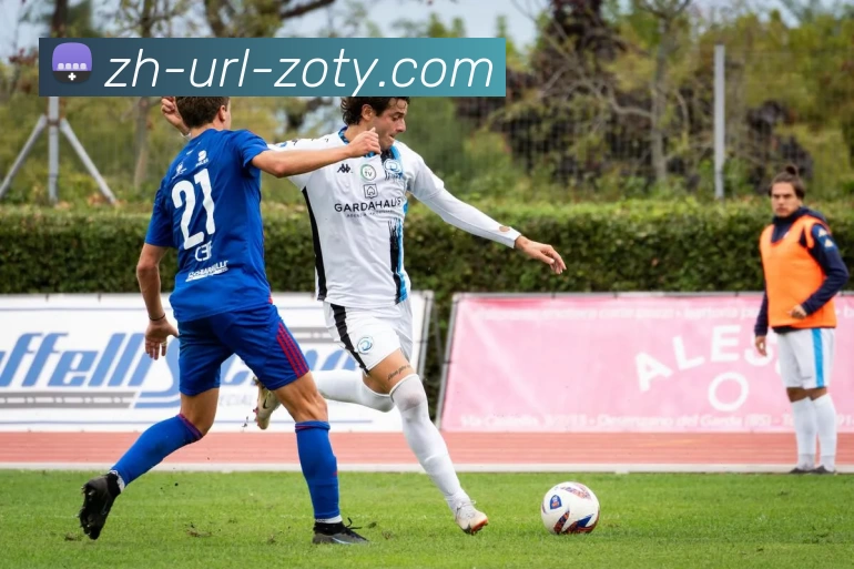 zoty中欧官网全站App